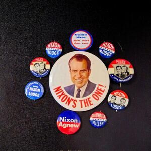 NIXON LODGE GOLDWATER AGNEW Pins 10 Total